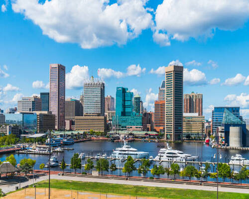Pest Control Baltimore