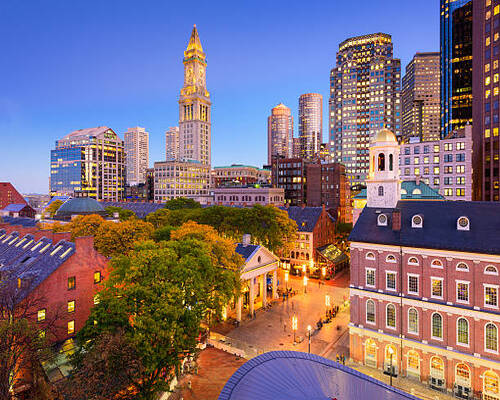Pest Control Boston