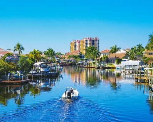 Pest Control Cape Coral