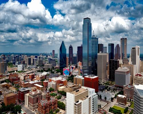 Pest Control Dallas