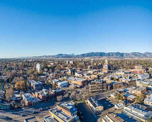 Pest Control Fort Collins