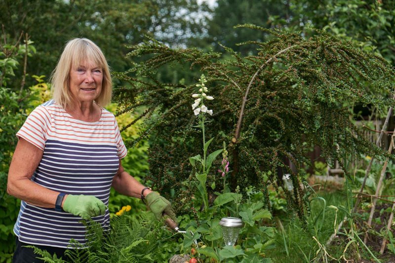 Prepare Now For Winter Pests