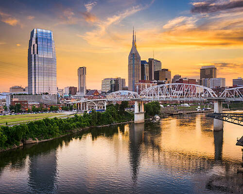 Pest Control Nashville