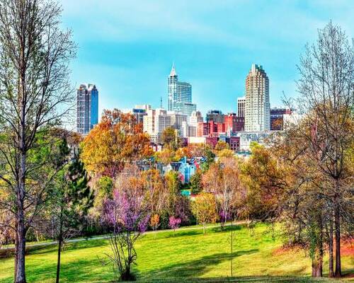 Pest Control Raleigh