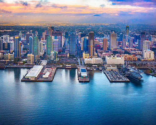 Pest Control San Diego