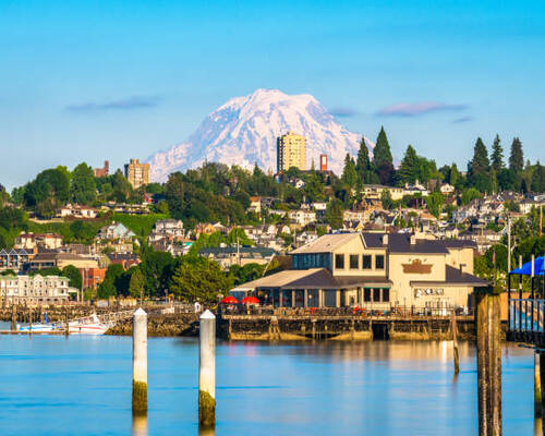 Pest Control Tacoma