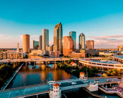 Pest Control Tampa