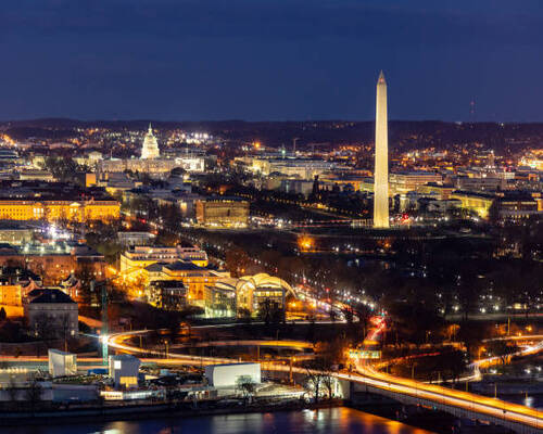 Pest Control Washington