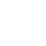 ants