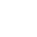 Bed Bugs