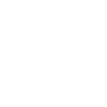 Bees
