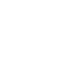 Cockroaches