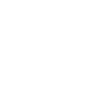 Fire Bugs