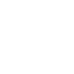 fleas
