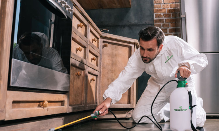 how often should a home be treated for pests