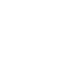 Moths