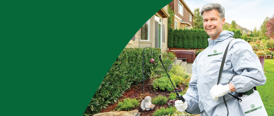 Pest Control Company in Anaheim