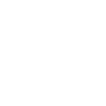 spiders