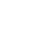 Stink Bugs