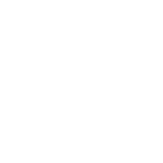 Termites