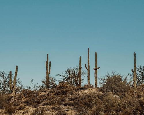 Queen Creek