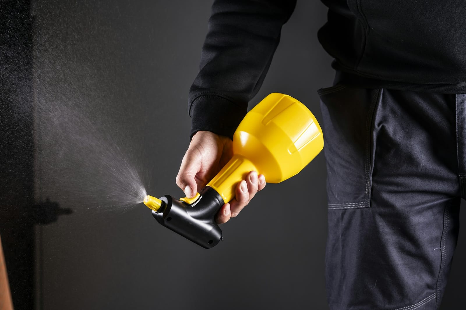 Pest control treatment in Laredo, TX